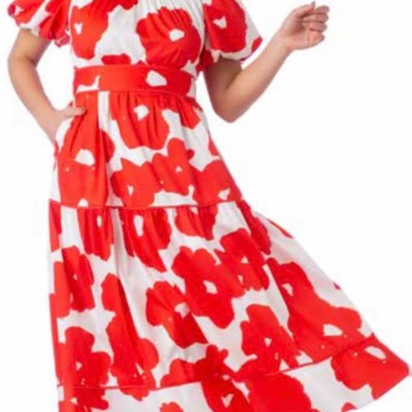 Crosby Gen Poppy Dress SIZE M.  NWT - Picture 2 of 7